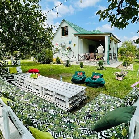 Villa Rokiti Exteriör bild