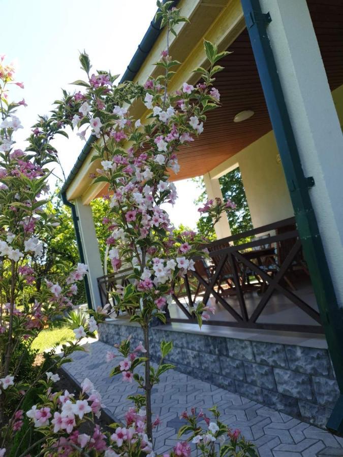 Villa Rokiti Exteriör bild
