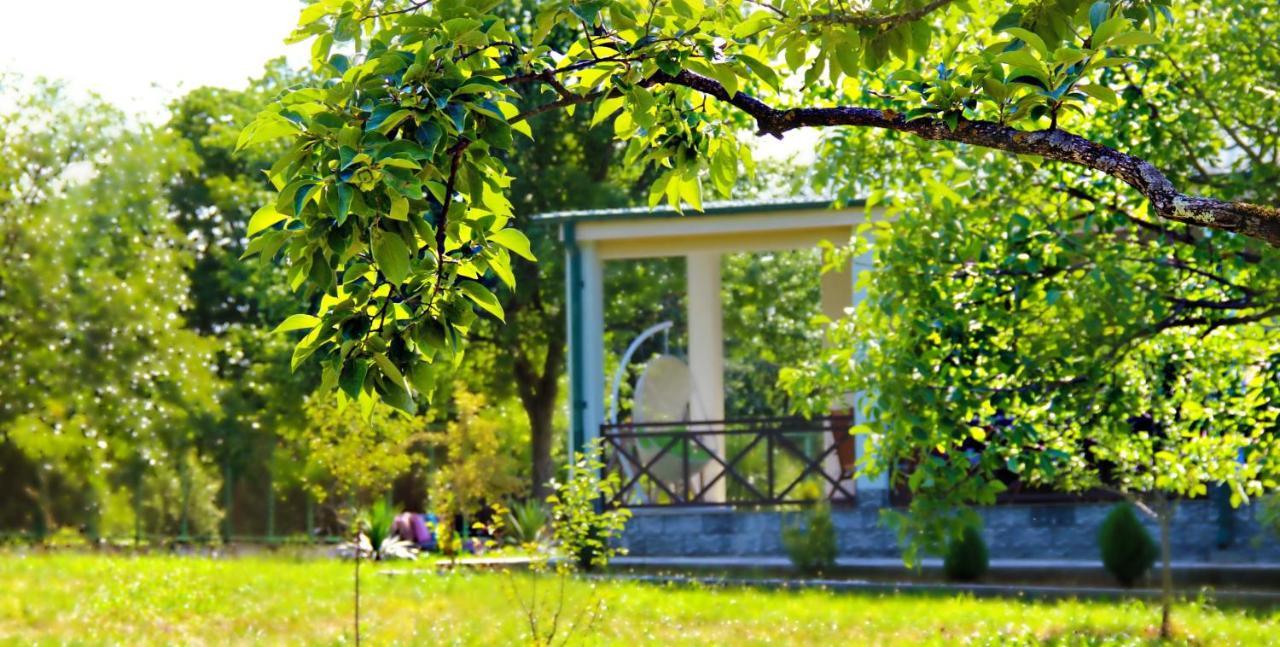 Villa Rokiti Exteriör bild